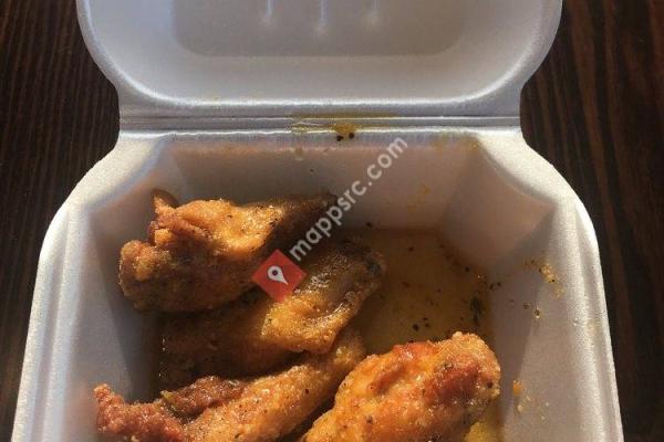 Wings 101 - Stone Mountain