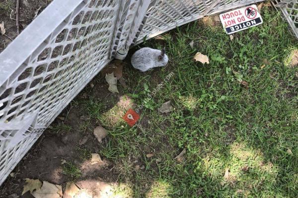 Wunderlich Farm and Historic Klein