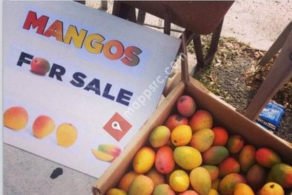 Yibbies Mango Stand