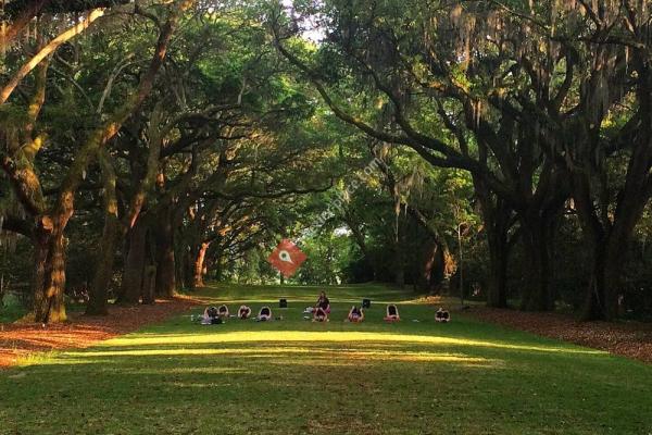 Yoga Under The Oaks