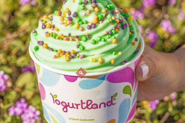Yogurtland