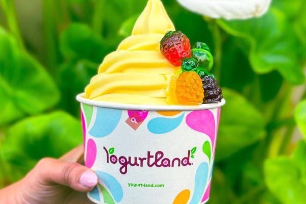 Yogurtland