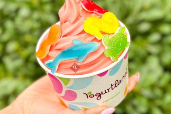 Yogurtland