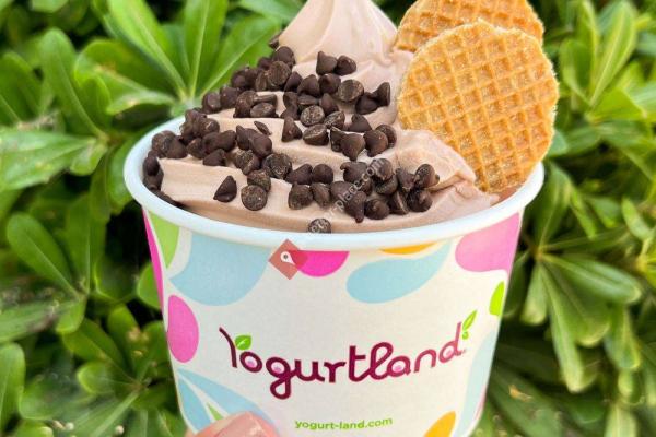 Yogurtland