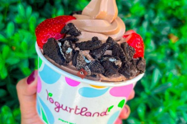 Yogurtland