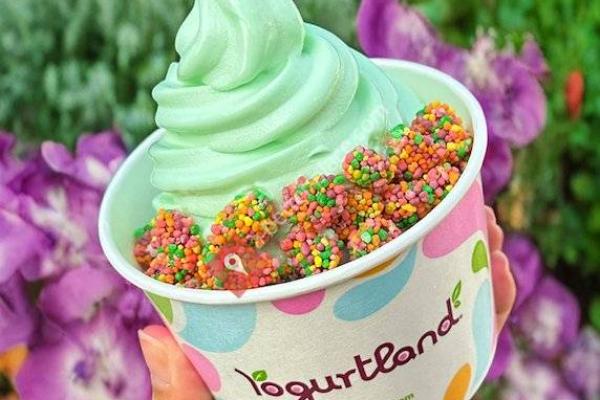 Yogurtland