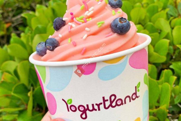 Yogurtland Encino