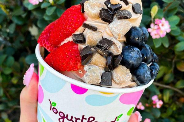 Yogurtland Lafayette