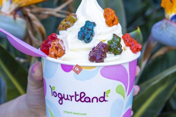 Yogurtland Laguna Niguel