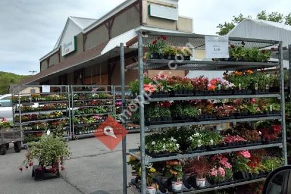 Young's General Store & Ace