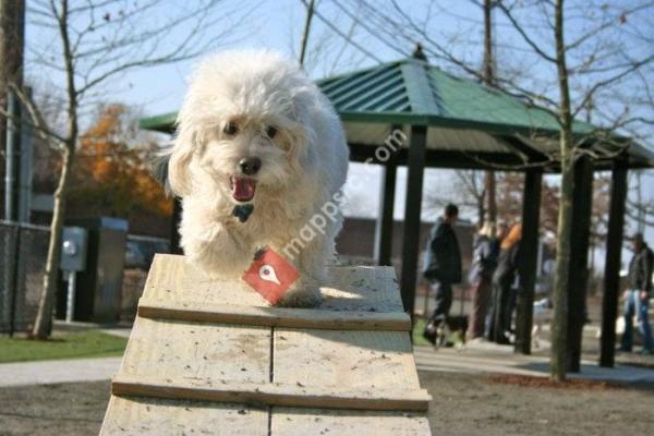 Zero New Washington Street Dog Park