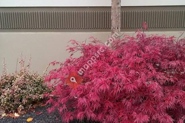 Zoar Lutheran Church