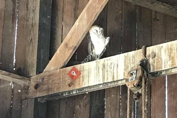 Zooamerica North American Wildlife Park